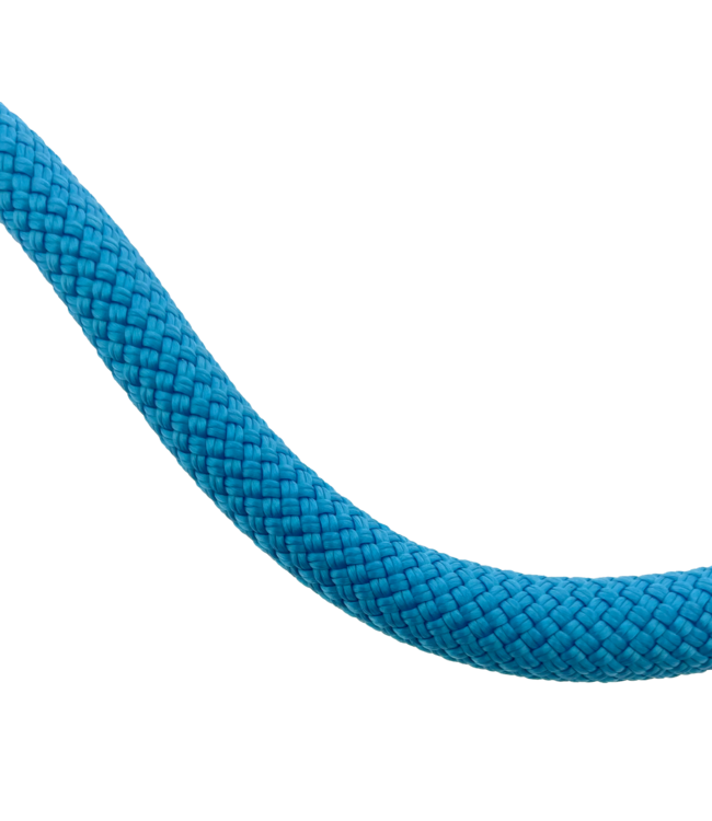 10MM Nylon Guinzaglio per cani Cyan scuro Premium