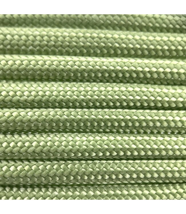 Paracord 550 tipo III Holy Guacamole