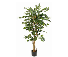 Mica Ficus Benjamina 150cm excl. sierpot groen
