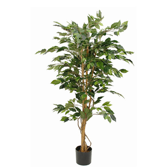 Mica Ficus Benjamina 150cm excl. sierpot groen