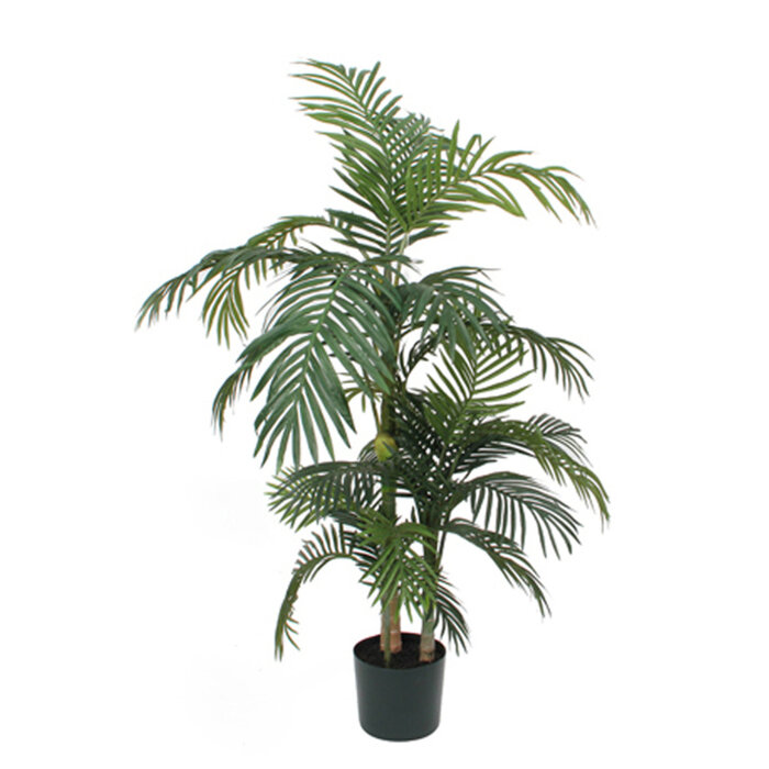Palm Areca Golden Cane 150 cm groen