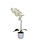 Phalaenopsis orchidee 60cm (groen, wit)