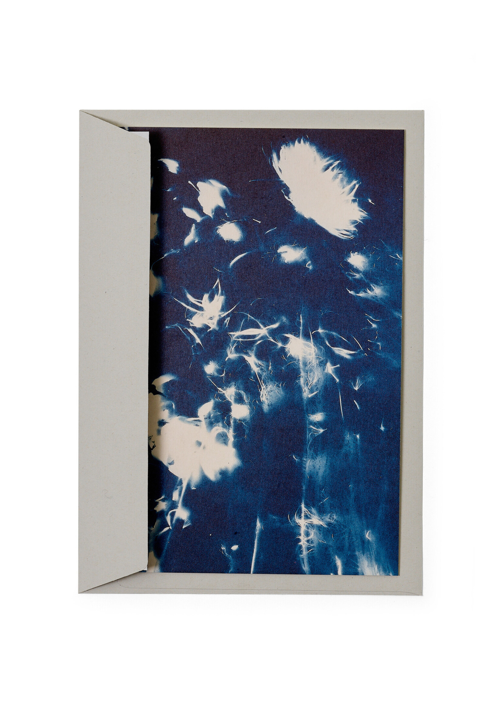 Karte / Print DIN A5, CYANOTYPE – fleurs séchées N°4, inkl. Couvert