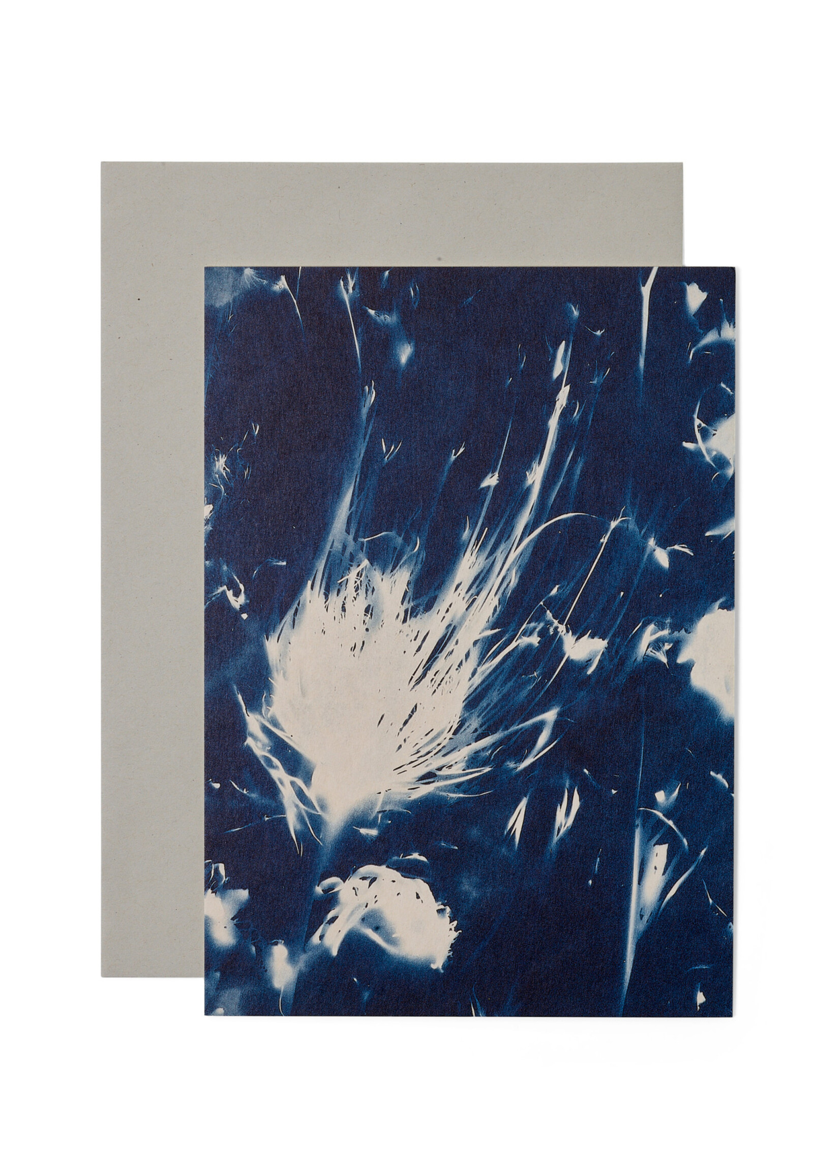 Karte / Print DIN A5, CYANOTYPE – fleurs séchées N°1, inkl. Couvert