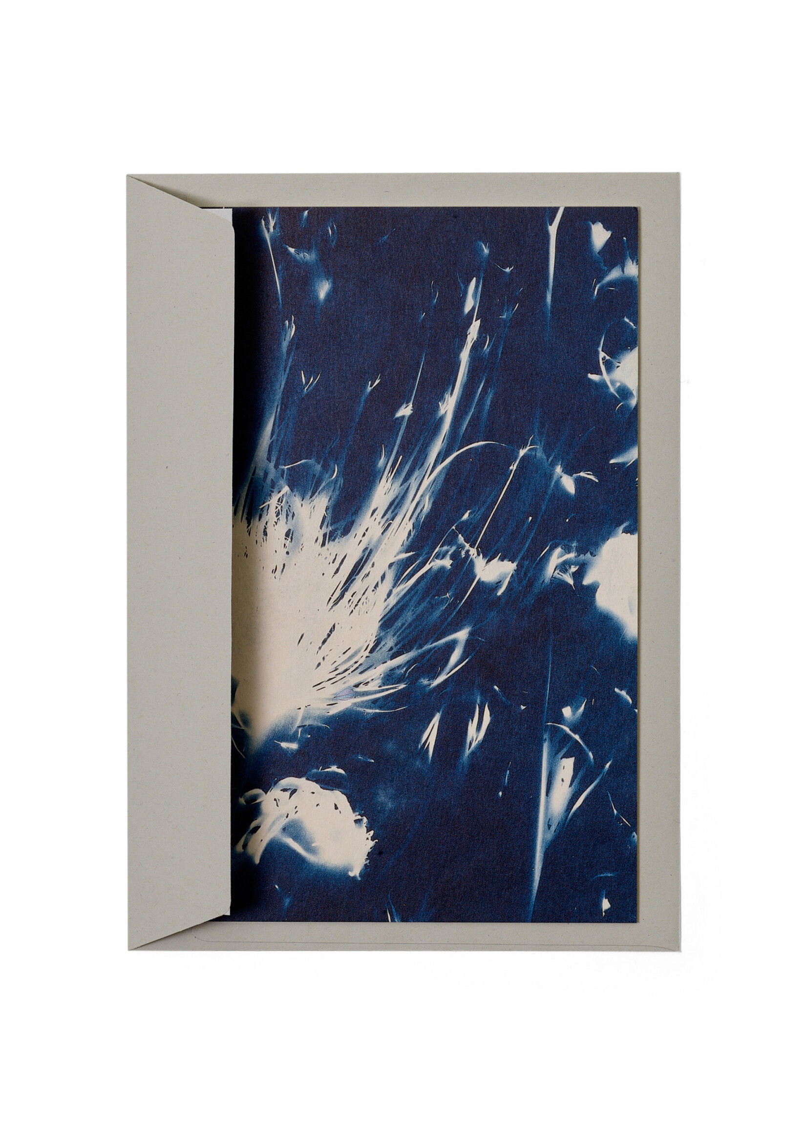 Karte / Print DIN A5, CYANOTYPE – fleurs séchées N°1, inkl. Couvert