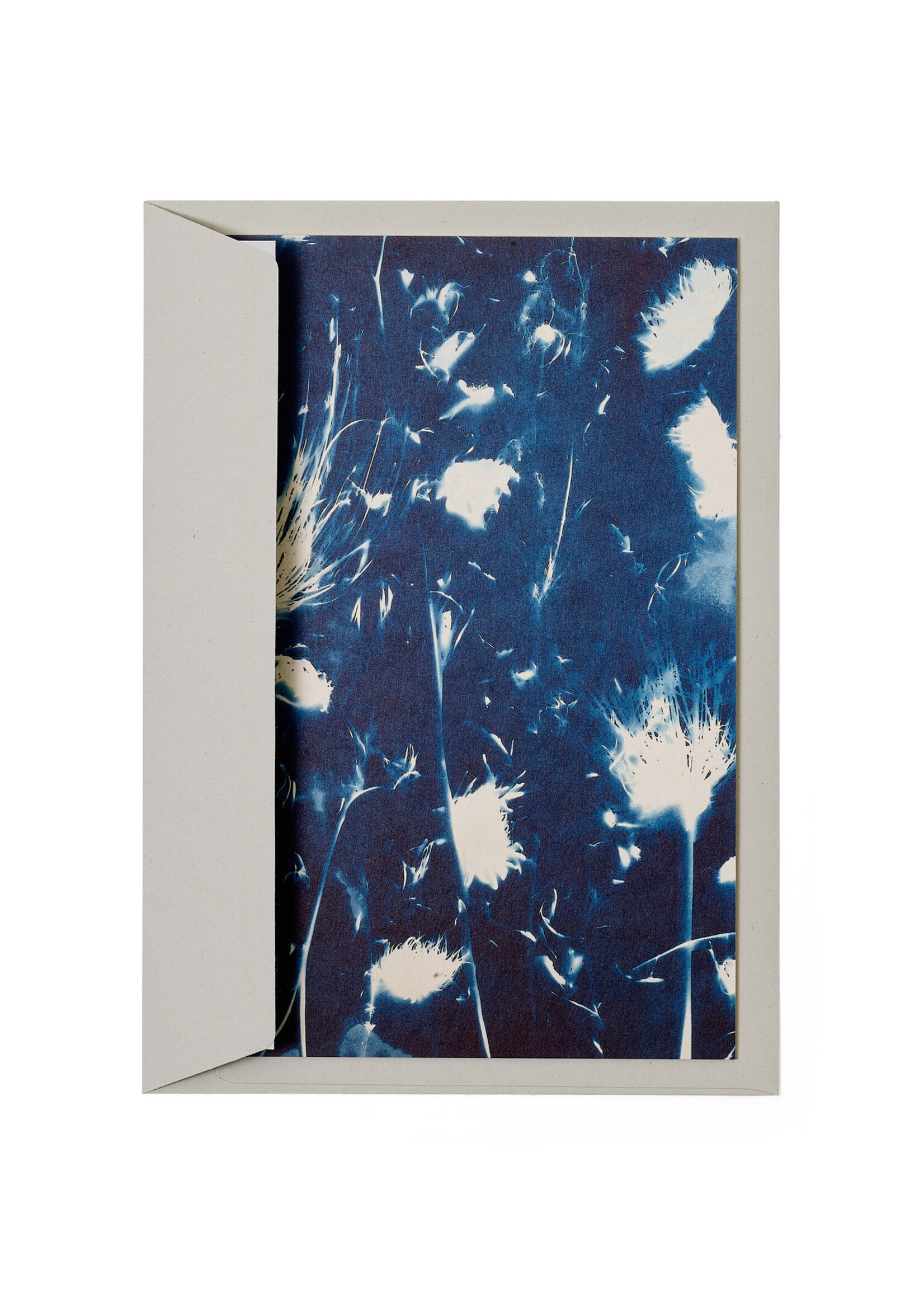 Karte / Print DIN A5, CYANOTYPE – fleurs séchées N°2, inkl. Couvert