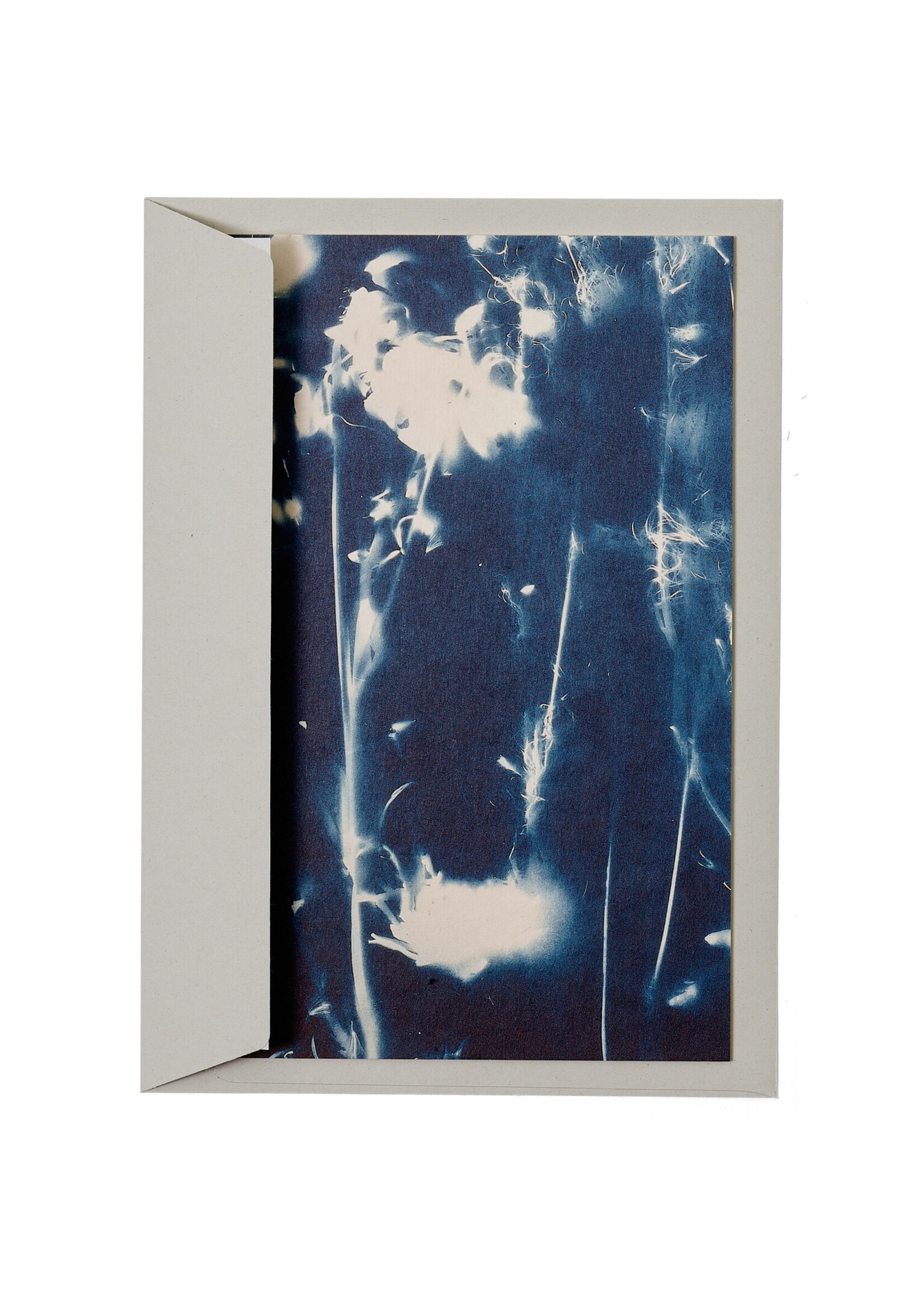 Karte / Print DIN A5, CYANOTYPE – fleurs séchées N°5, inkl. Couvert