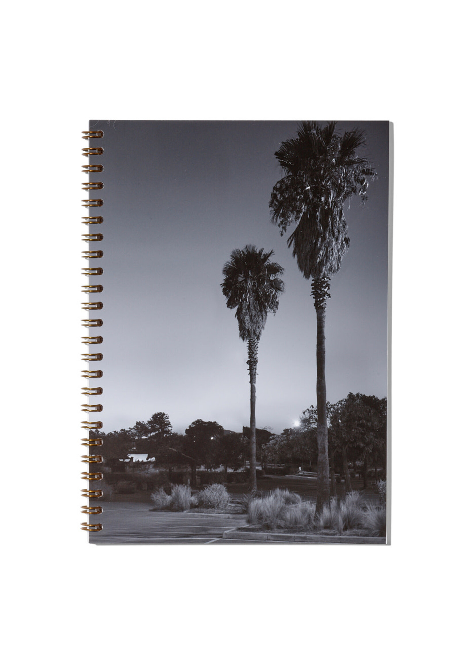 Notizbuch / Carnet de notes – Club Tropicana, N°1, Fine Art Print