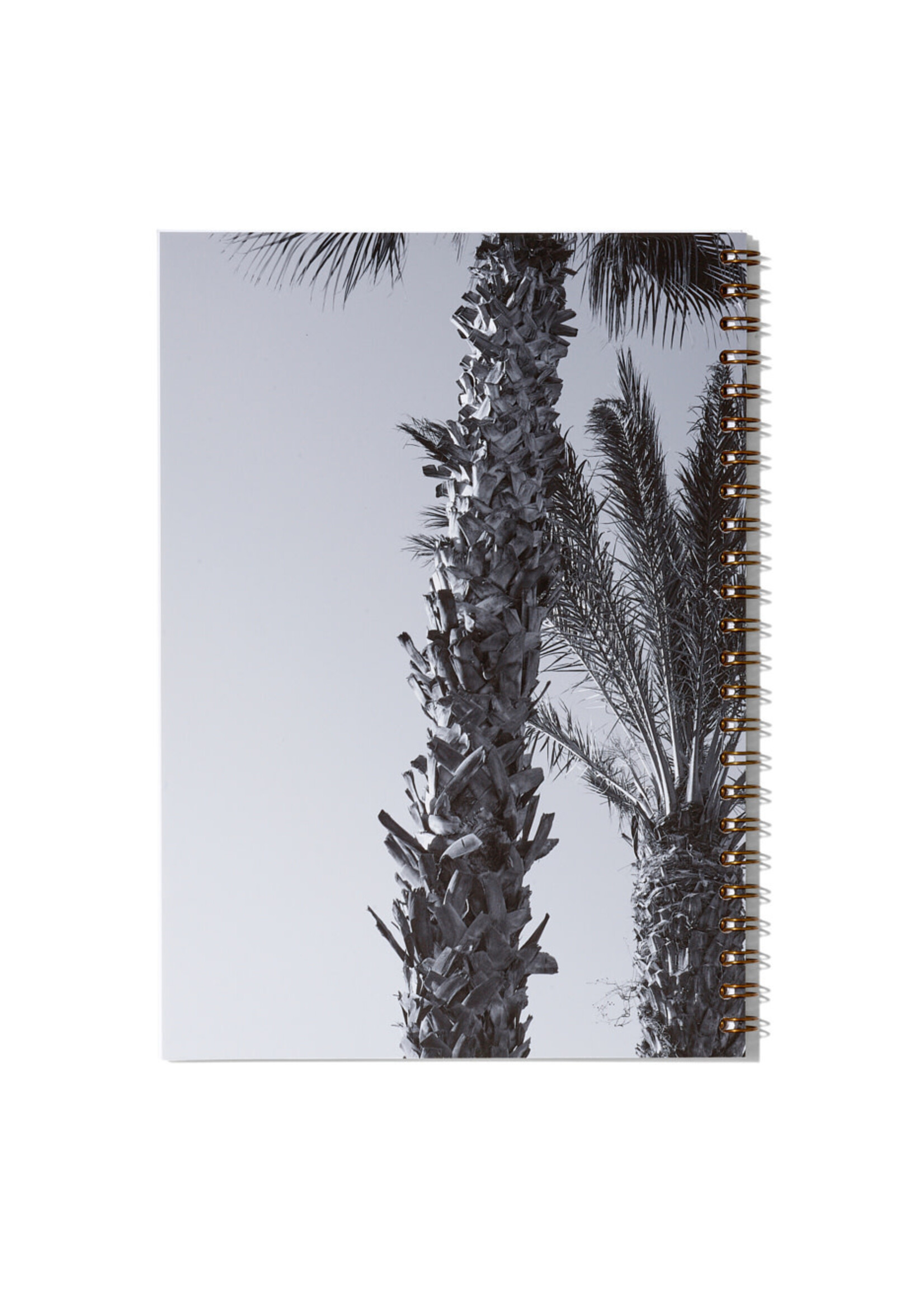 Notizbuch / Carnet de notes – Club Tropicana, N°2, Fine Art Print