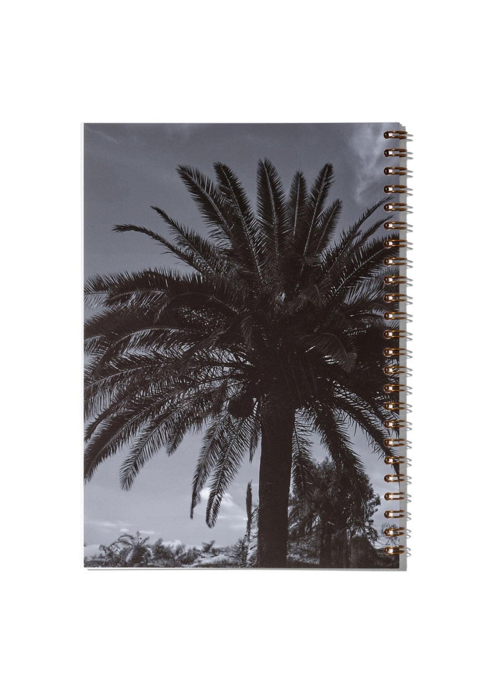 Notizbuch / Carnet de notes – Club Tropicana, N°3, Fine Art Print