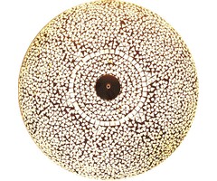 Weiße große Deckenlampe