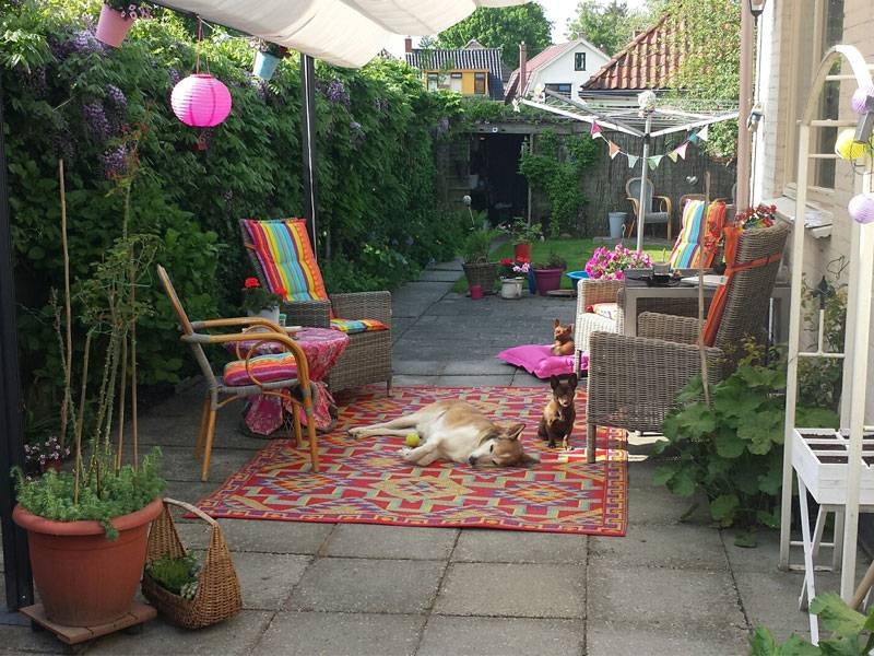 Wonder Rugs Farbiger Garten Teppich Souk