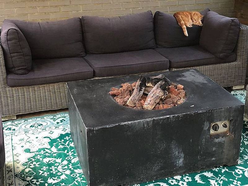 Wonder Rugs Luxuriöser Garten Teppich in Grün und Gold