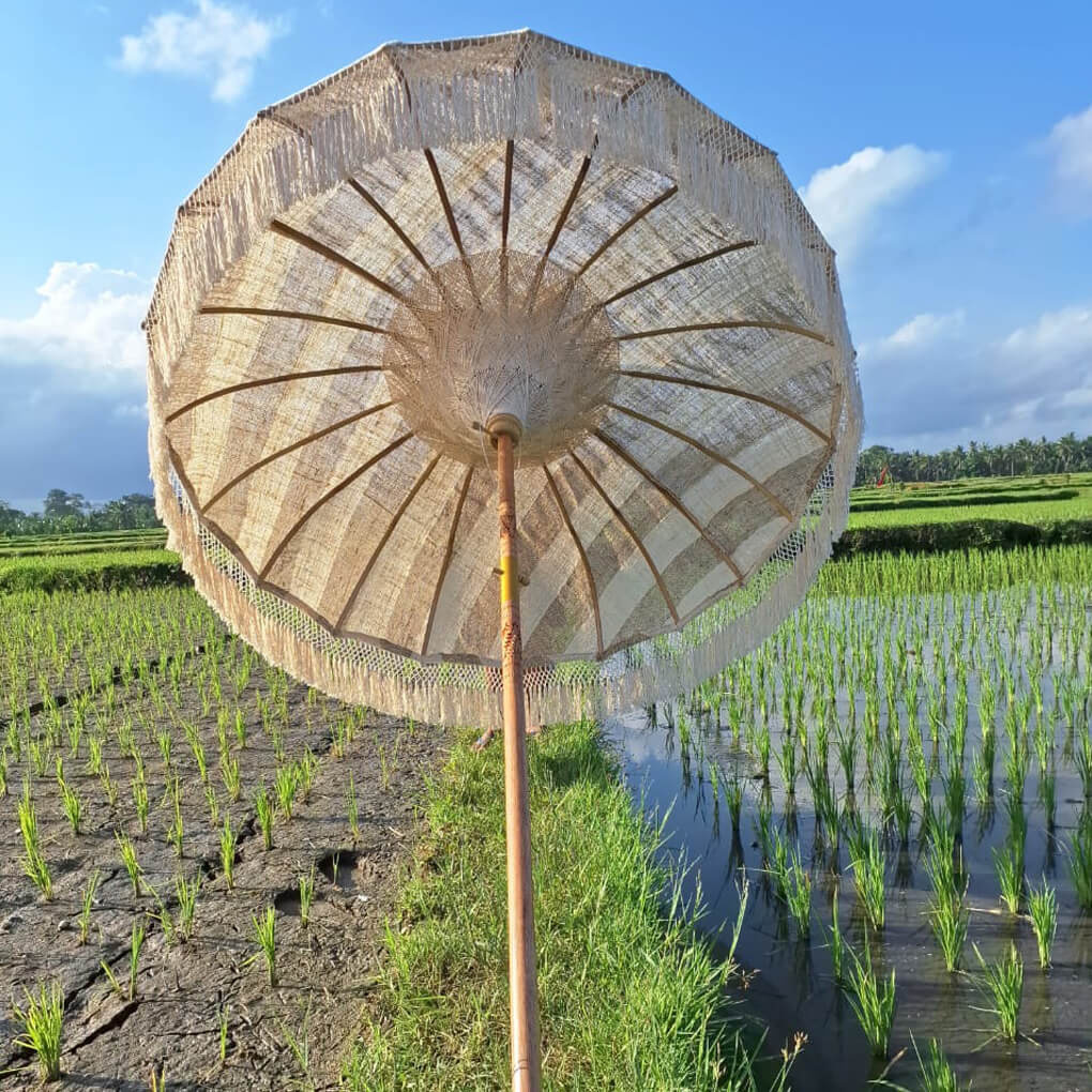 Sonnenschirmstreifen