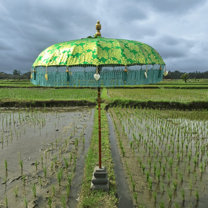 Sonnenschirmgrünes Glück