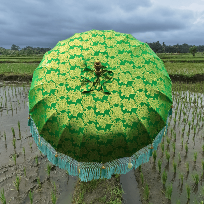 Sonnenschirmgrünes Glück