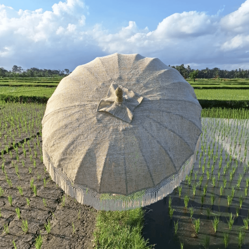 Parasol Café Latte - Wonderella