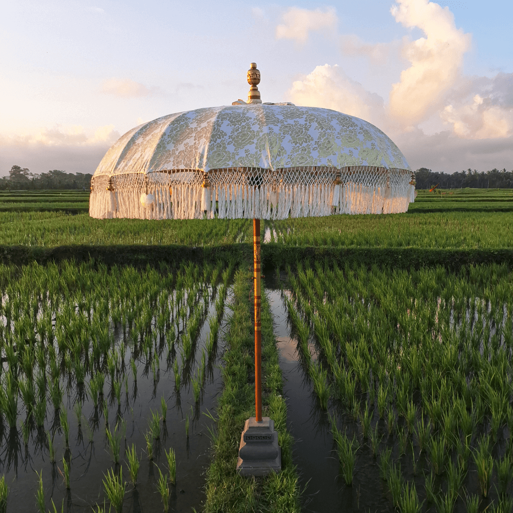 Sonnenschirm Weiße Rosen - Wonderella