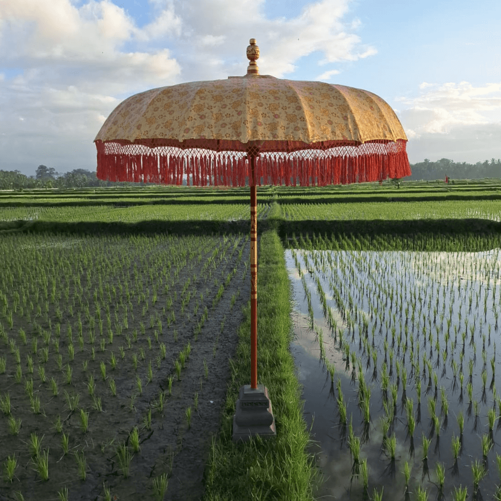 Sonnenschirm-Fantasie - Wonderella