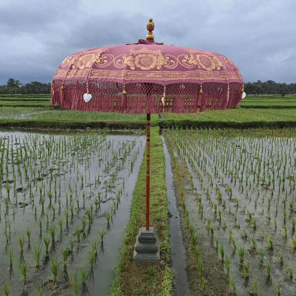 Altrosa Bali-Sonnenschirm mit Gold