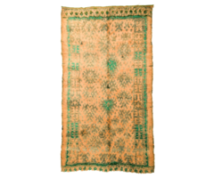 Mguild Teppich in grün 186x330cm