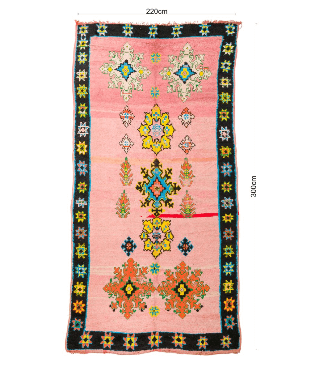 Mguild Teppich in multi , 220x300cm