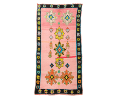 Mguild Teppich in multi , 220x300cm