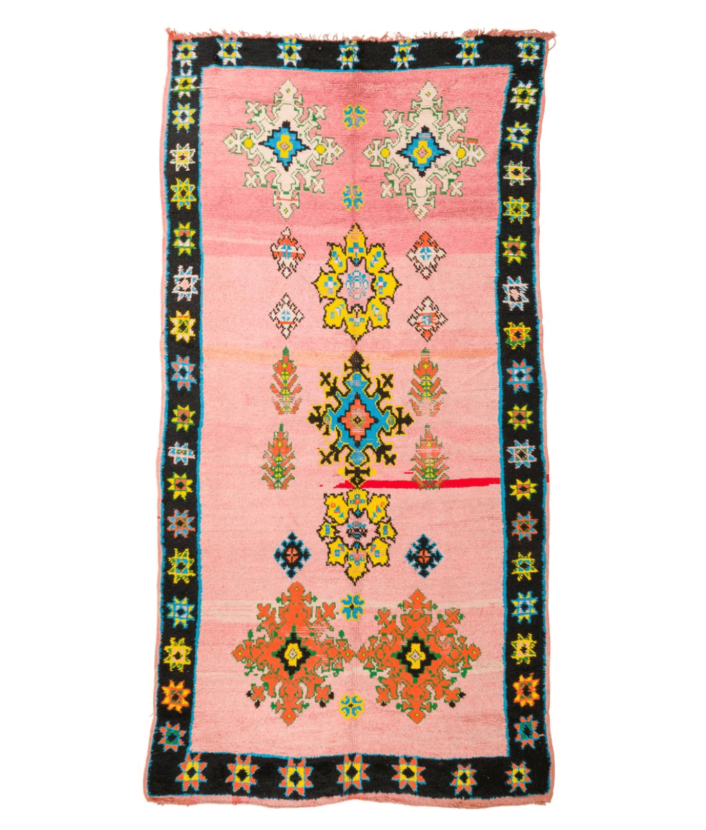 Mguild Teppich in multi , 220x300cm