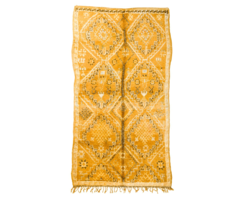 Mguild Beige 170x330cm