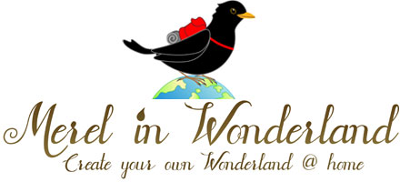 Merel in Wonderland 