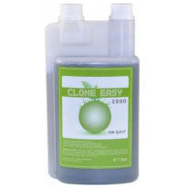 Ion Quest Iq Clone Easy