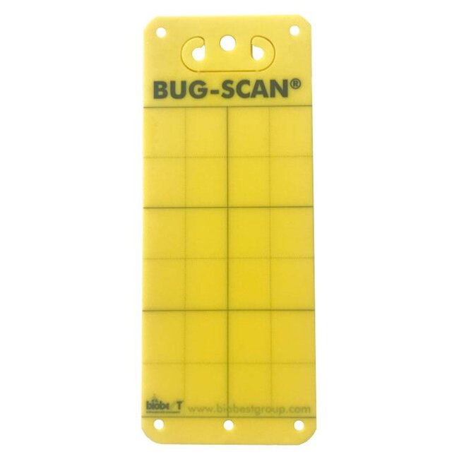 Brimex Bug-Scan Brimex Gelb | 10 Stück