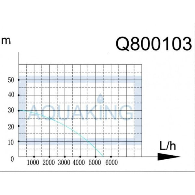 Aquaking Q800103 Submersible Pump 5500 Litres/H