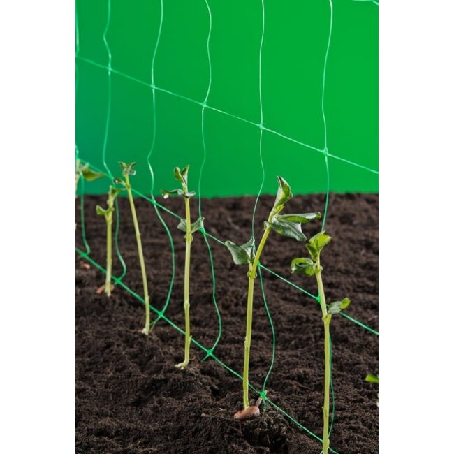 Easy-Grow Vijvergaas | 2M - Per Meter