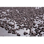 Can Filters Can-Lite Koolstoffilter 1000 M³ | 50Cm | Ø 200Mm