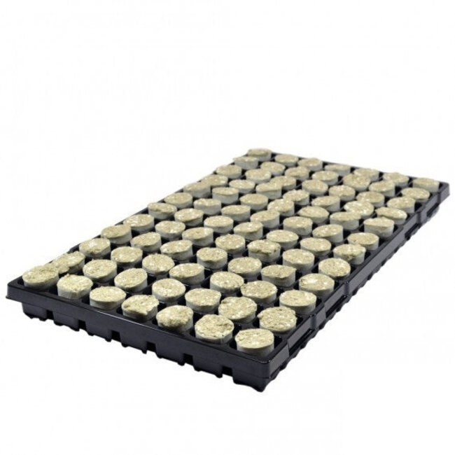 Paperbus 84 Compartments - 8 Trays Per Box