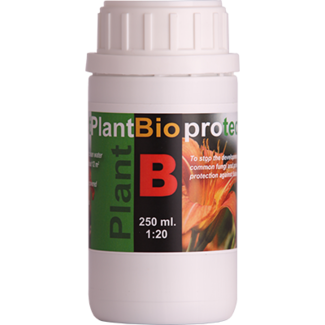 Bio Protect B 250Ml