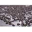 Can Filters Can-Inline 2500M³ Carbon Filter Ø 250Mm