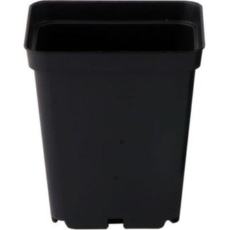 Easy-Grow Ipp Pregrowth Pot 0.5L 9 x 9 x 10 Cm