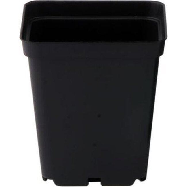 Easy-Grow Ipp Pregrowth Pot 0.5L 9 x 9 x 10 Cm