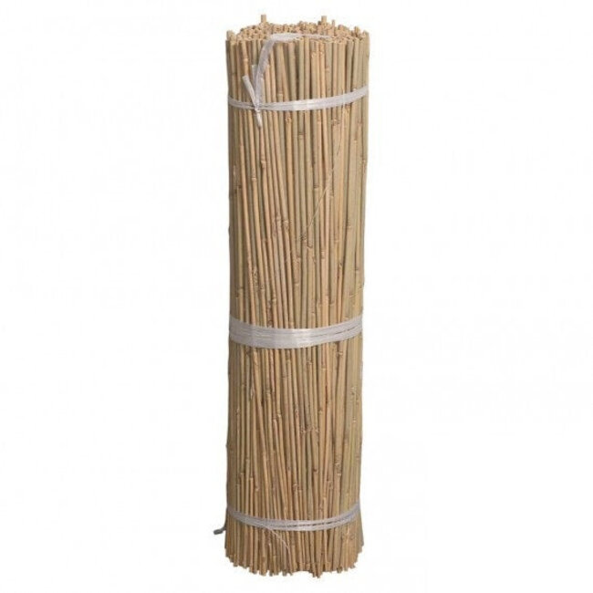 Easy-Grow Bambus 90Cm - Verpackt Pro 500 Stück