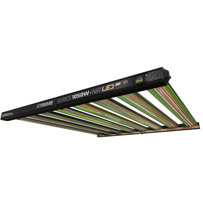 DimLux Xtreme Series 1050W LED MKII