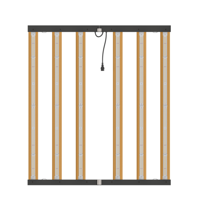 DimLux Xplore Series LED 730W 9x PAR 2,7