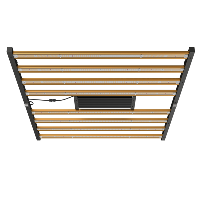 DimLux Xplore Series LED 730W 9x PAR 2,7