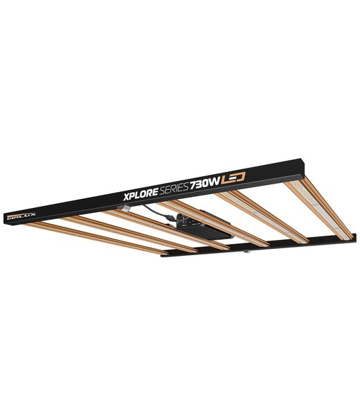 DimLux Xplore Series LED 730W