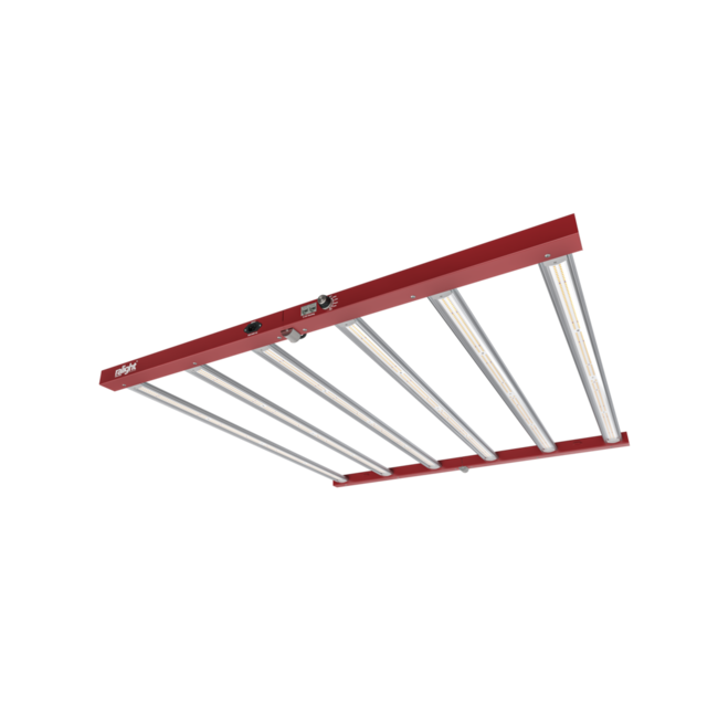 Ralight LED 720W 6 balken 120x120 cm