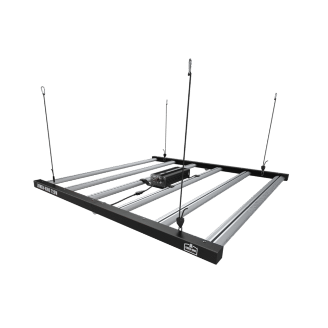 Lumen King Lumen King LED Eco Line 720W 108x112cm