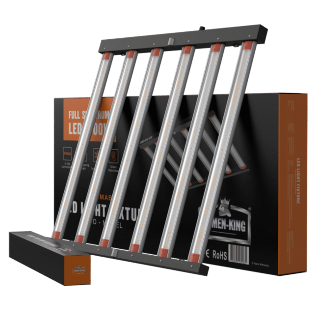 Lumen King LED Eco Line 1000W 110x106cm