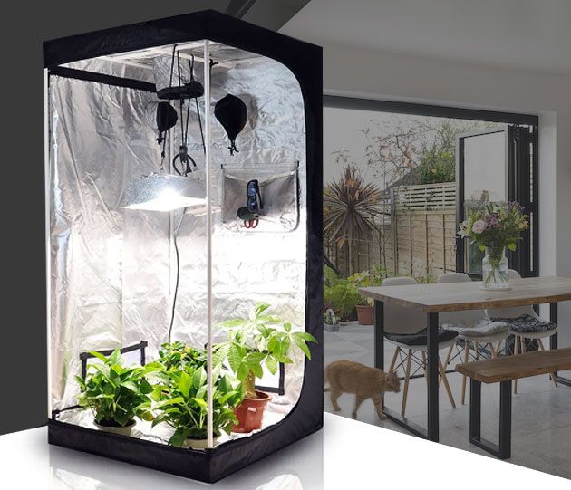 Growbox kweeksets