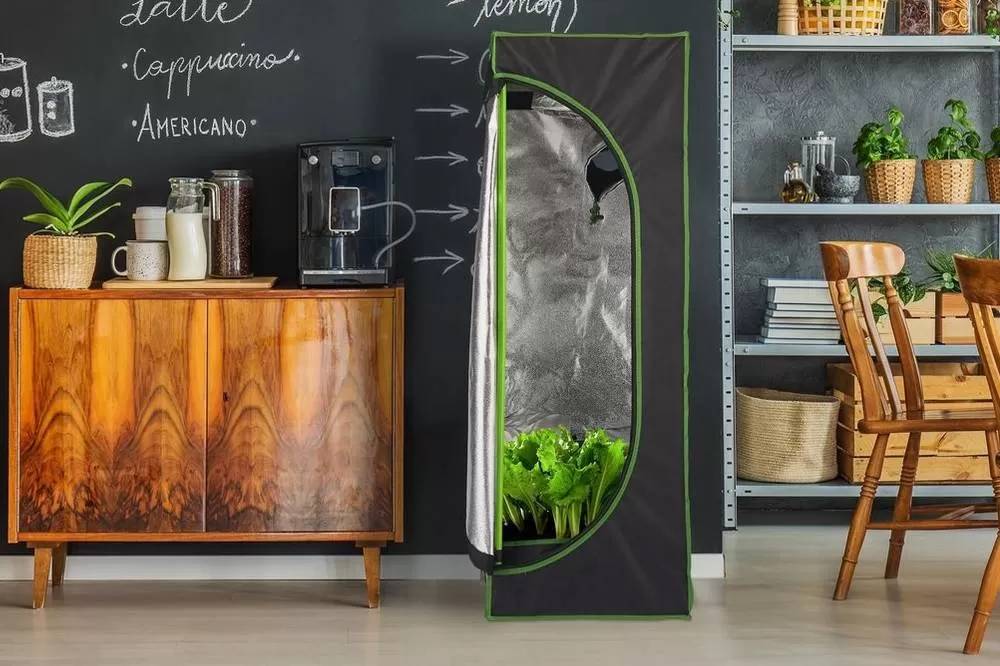 Die Vorteile von Wachstumszelten